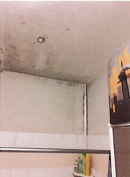 Moisissure dans une chambre Humidité maison